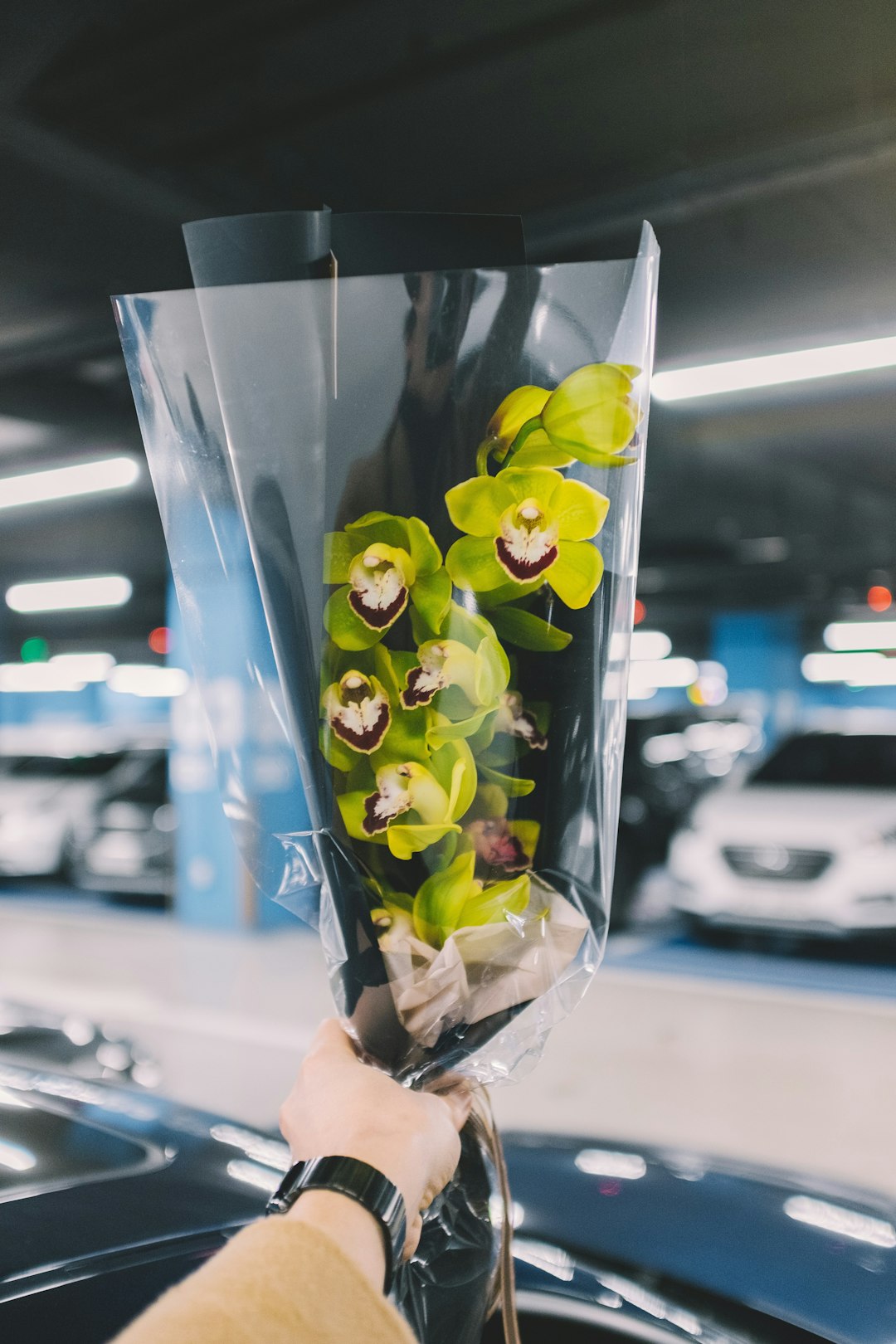 Een orchidee cadeau geven bij een bijzonder moment